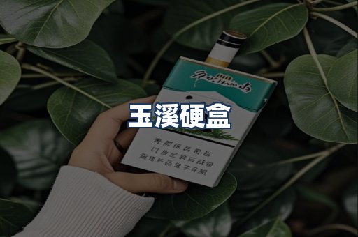 玉溪硬盒